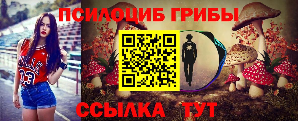 Псилоцибиновые грибы Cubensis  Вход с VPN  Сургут 